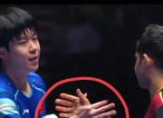 开云体育下载-日本乒乓球队横扫韩国乒乓球队，许昕完成帽子戏法的简单介绍