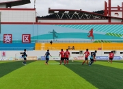 开云体育app-绿茵场上球队的合作精神体现了足球精神的简单介绍