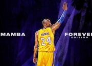 开云体育直播-总决赛之夜，加维的救赎之路