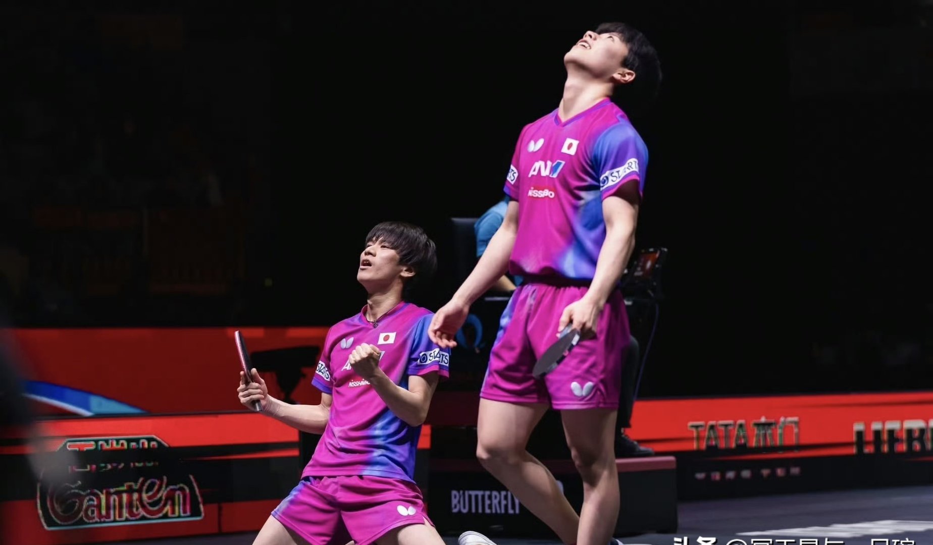 关于瑞典乒乓球队力克比利时乒乓球队，张本智和绝境逆转的信息