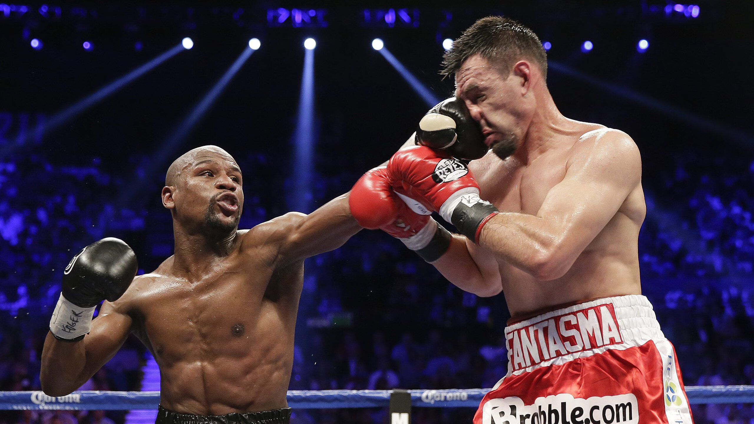 数据爆炸！范弗利特全面爆发，辽宁队战术碾压灰熊体系