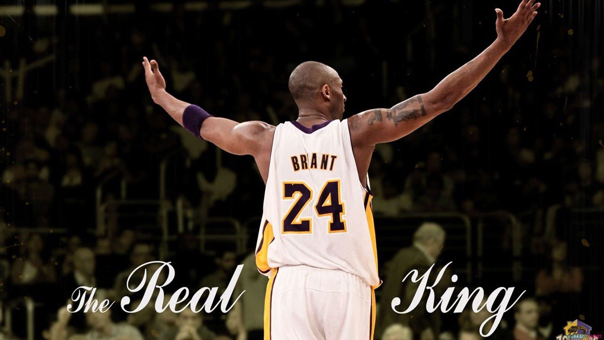 从辽宁到世界，节奏的艺术—当团队掌控遇见个人接管