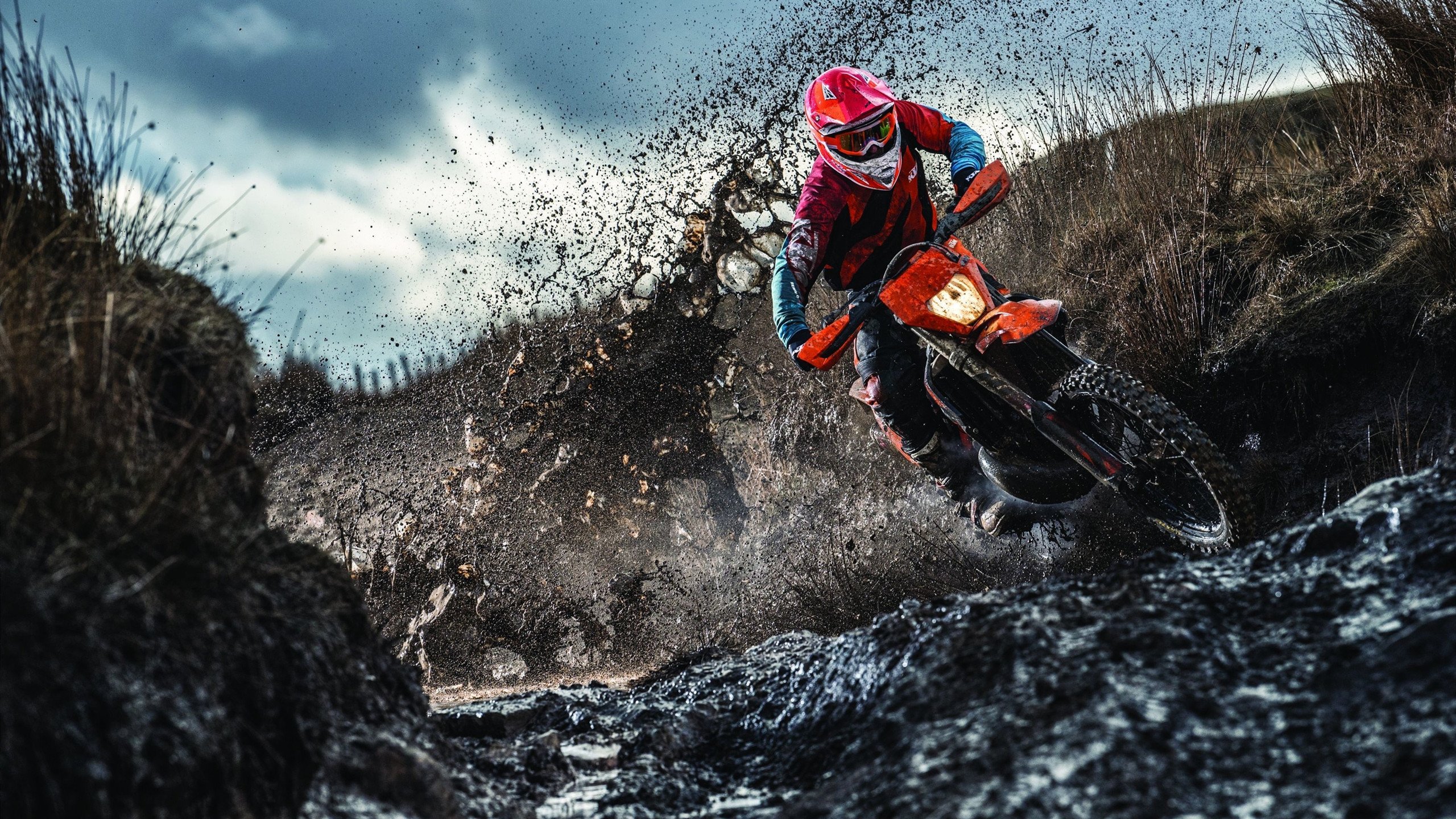 玻利维亚对阵皇家社会,莱奥的舞台,世界的惊叹